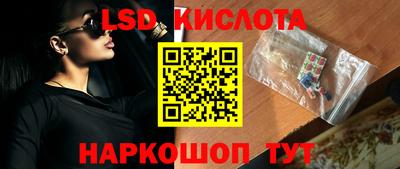 ешки Кингисепп