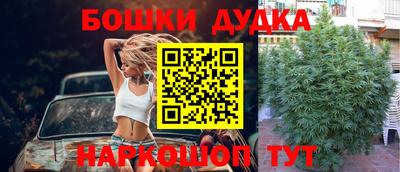 ешки Кингисепп