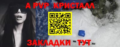 ешки Кингисепп