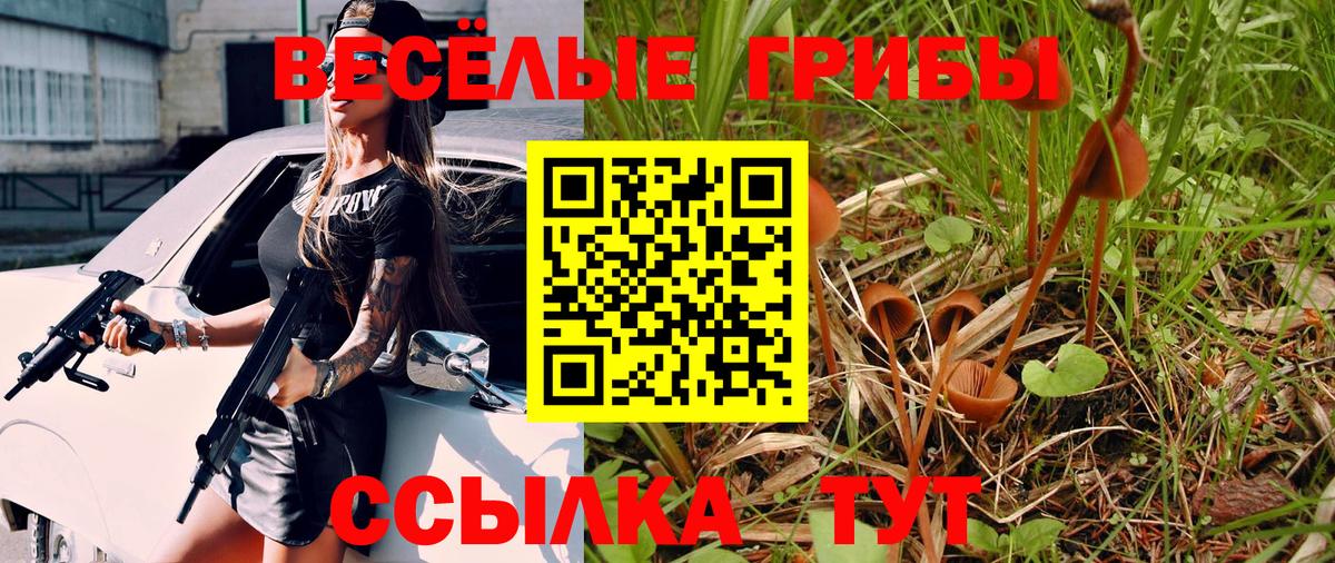 Биробиджан  Псилоцибиновые грибы MAGIC MUSHROOMS  Вход с VPN 