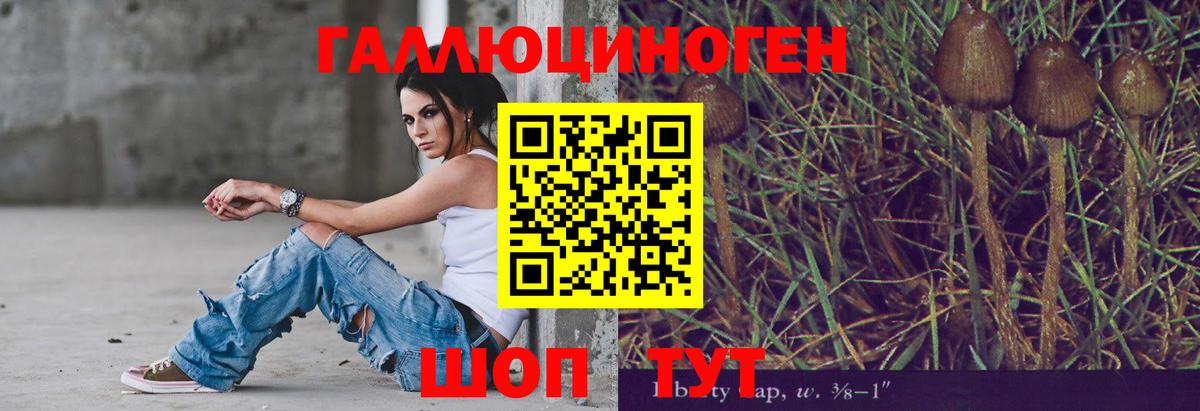 Псилоцибиновые грибы MAGIC MUSHROOMS Биробиджан